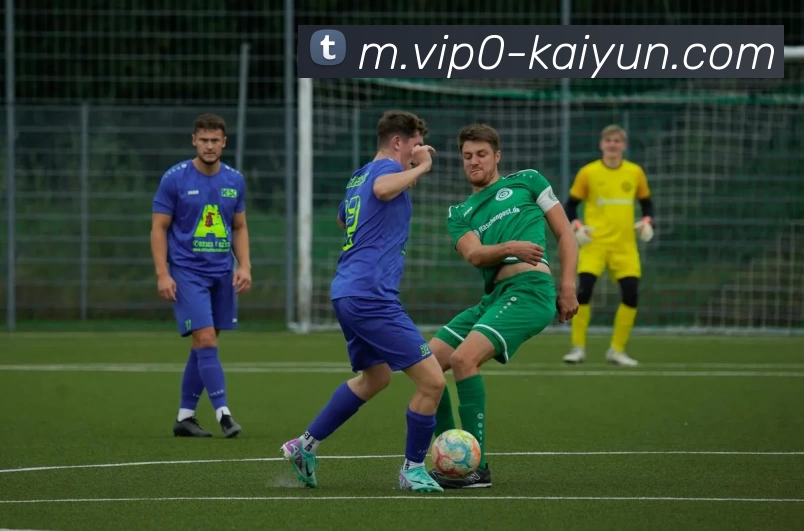 开云体育服务体系